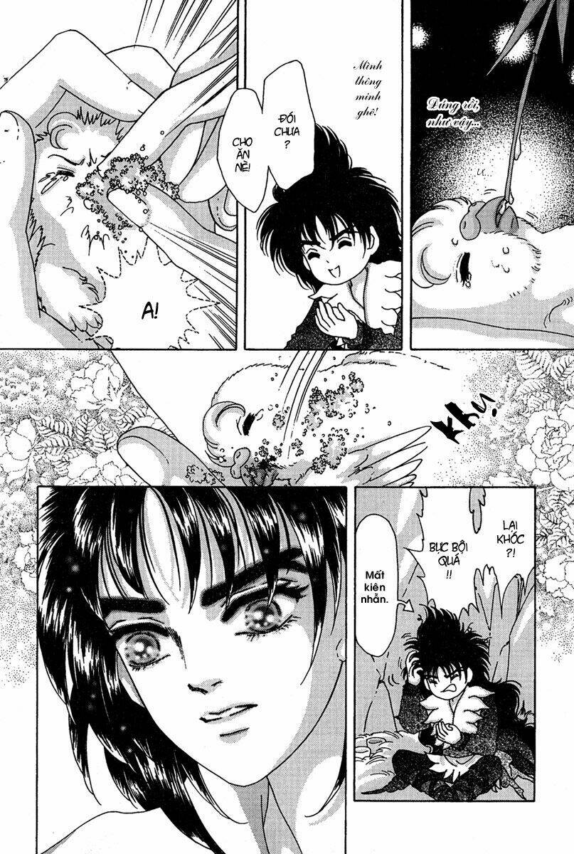 bird of youth chapter 6 15