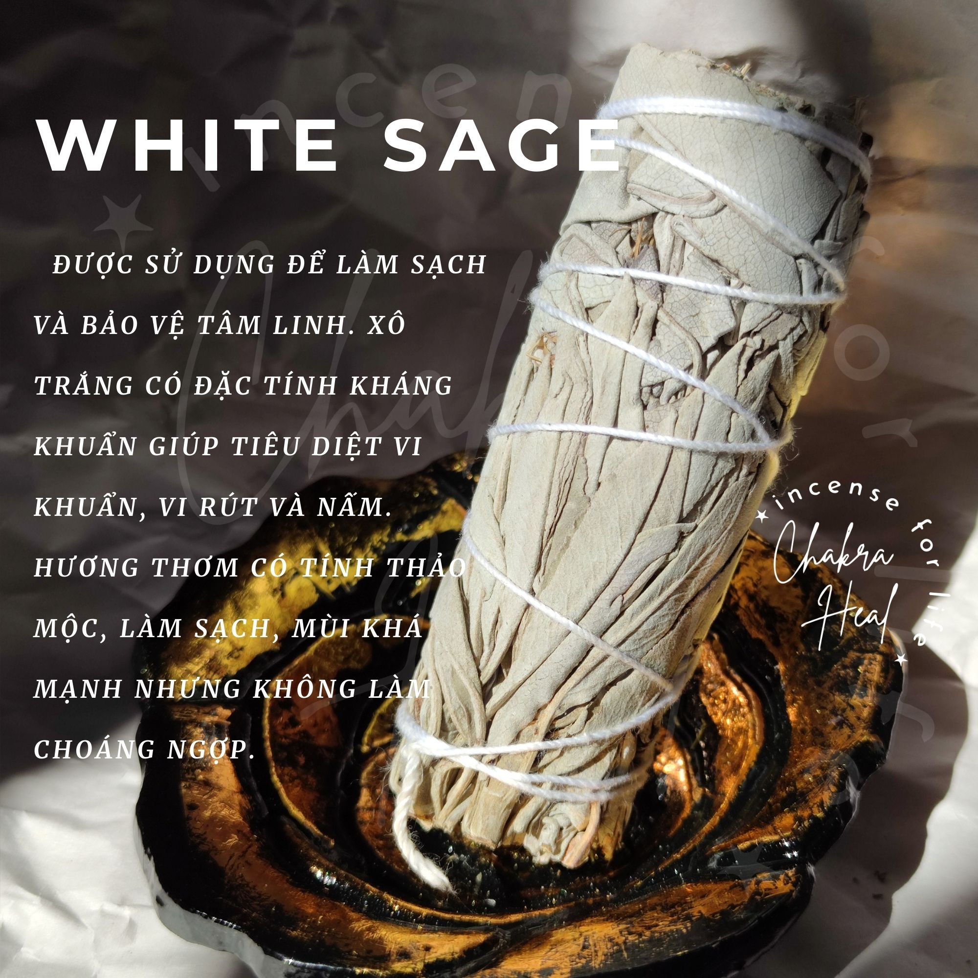 White Sage Smugde - Xô Thơm Trắng Thanh Lọc Năng Lượng l Chakra Heal Incense