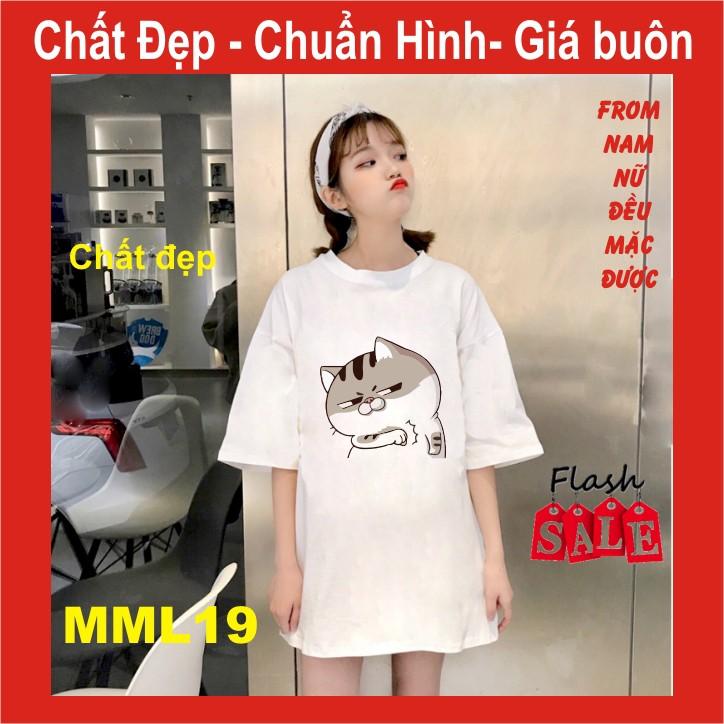 Áo thun mèo cat ami bụng bự M21,UNI SIZE FREE SIZE ,tay lỡ