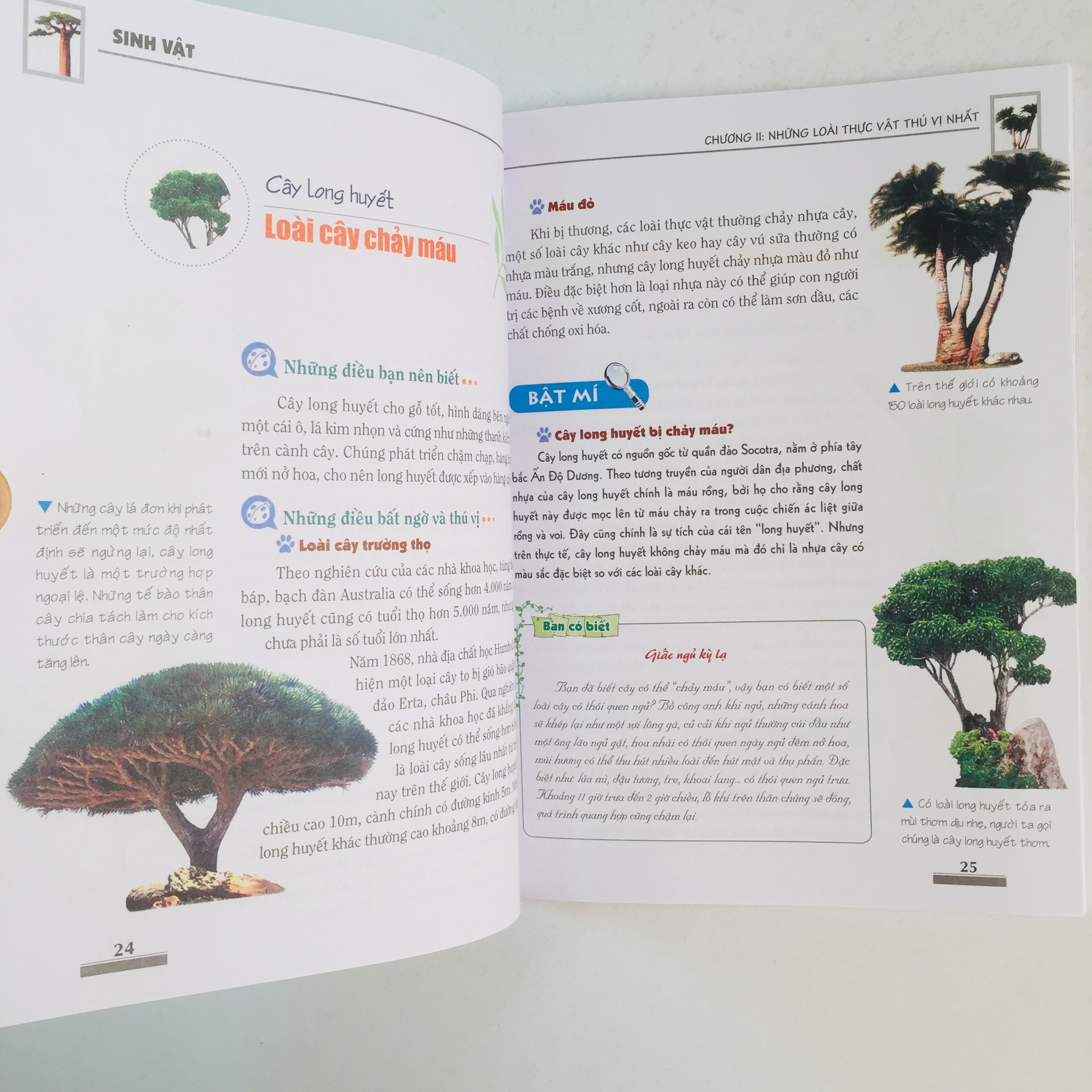 Khám Phá Bí Ẩn Thế Giới Tự Nhiên Dành Cho Học Sinh – Boxset 5 cuốn