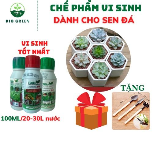 Phân bón cho sen đá,Thuốc trừ diệt sâu nấm bệnh sinh học hữu cơ TSBIO trị đốm đen,rệp sáp,thối thân lá rễ,sâu ăn thân