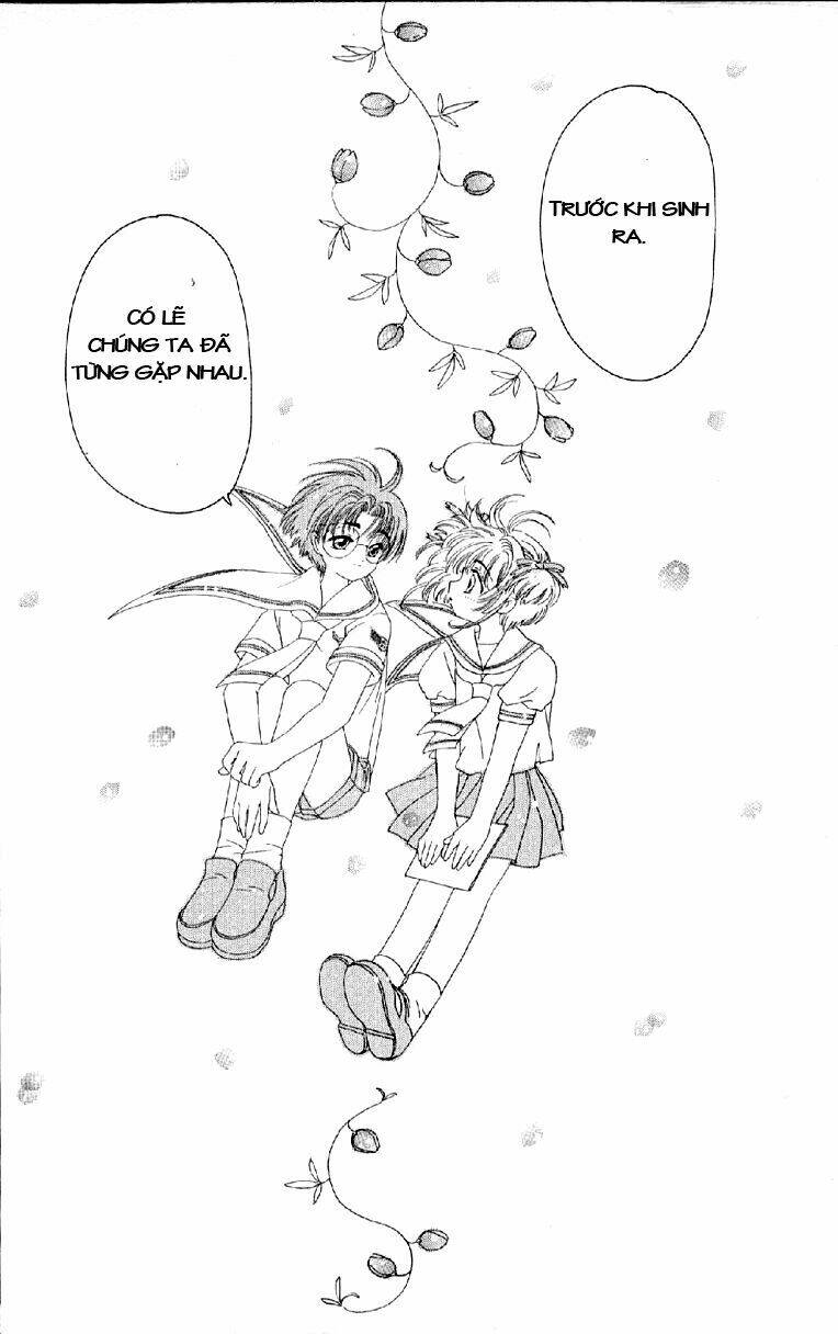 card captor sakura chapter 27 24
