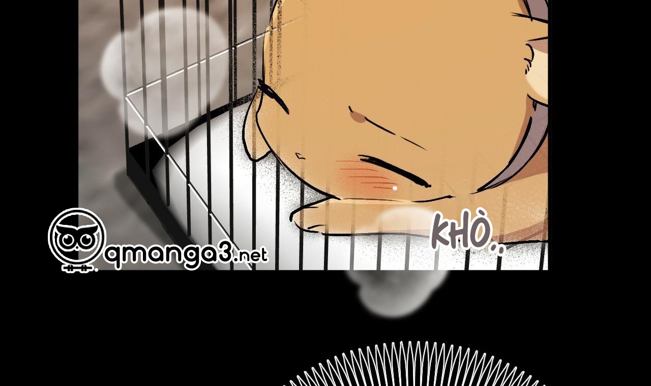 đàn thỏ của habibi chapter 45 126