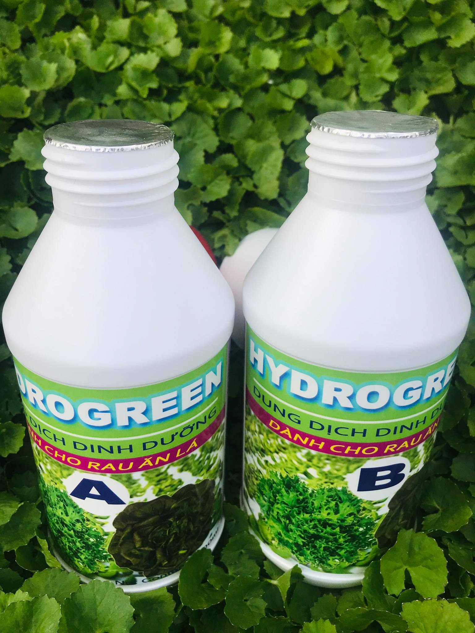 Dung Dịch Thuỷ Canh HYDROGREEN PART A &amp; B 500ml