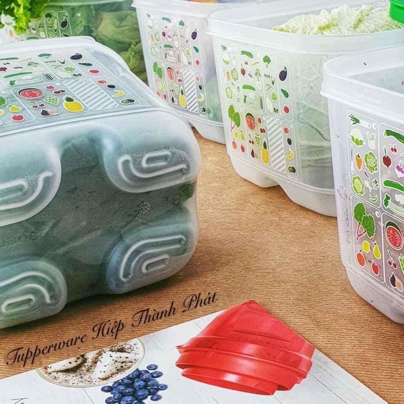 Bộ hộp trữ mát có nút hô hấp Ventsmart 4 hộp