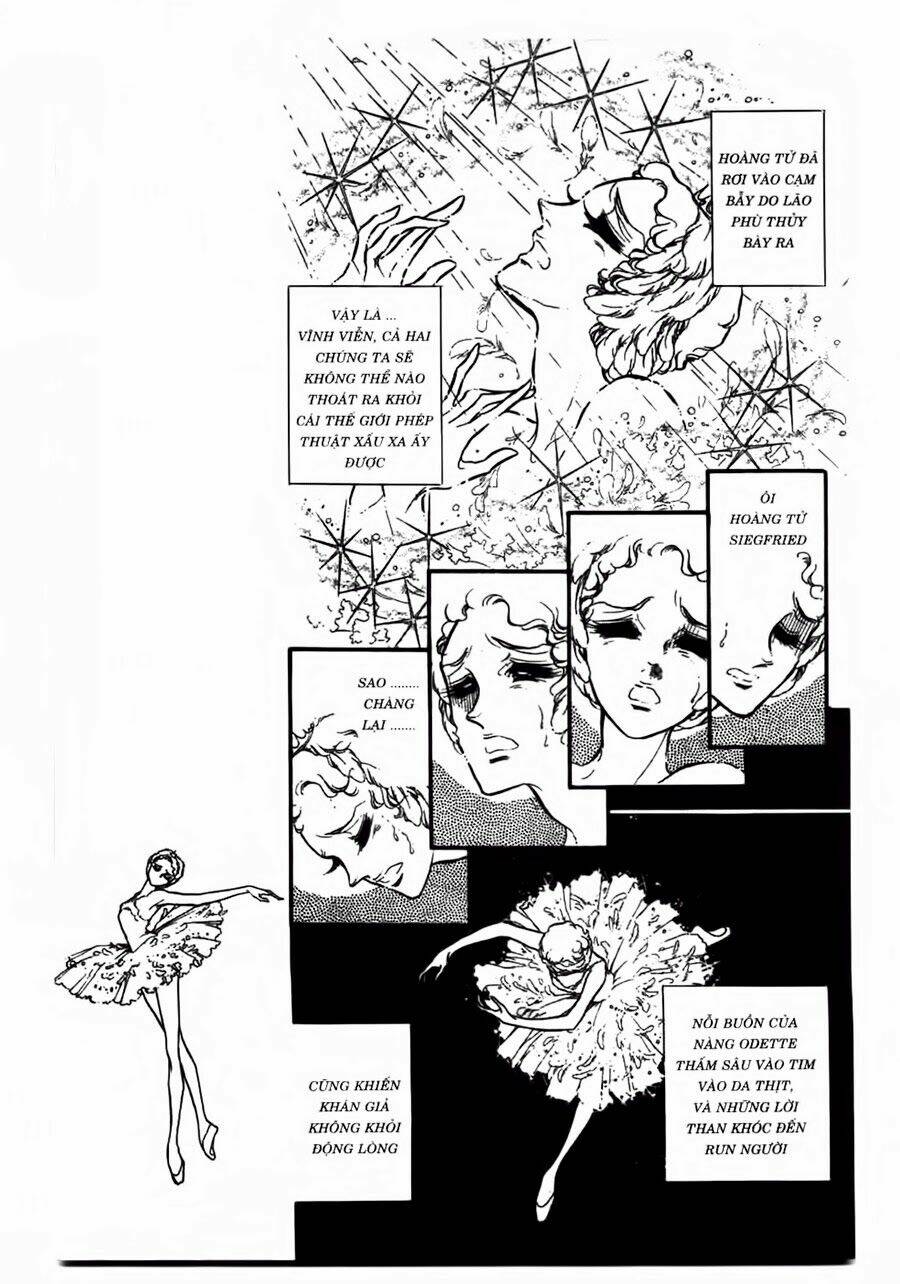 swan - vũ khúc thiên nga chapter 43 10