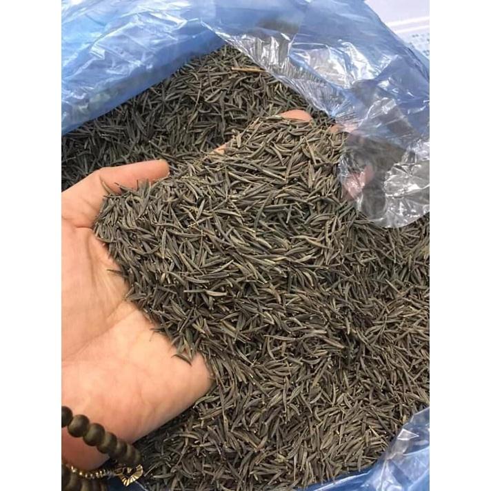 HẠT GIỐNG SAO NHÁY GÓI 50 HẠT