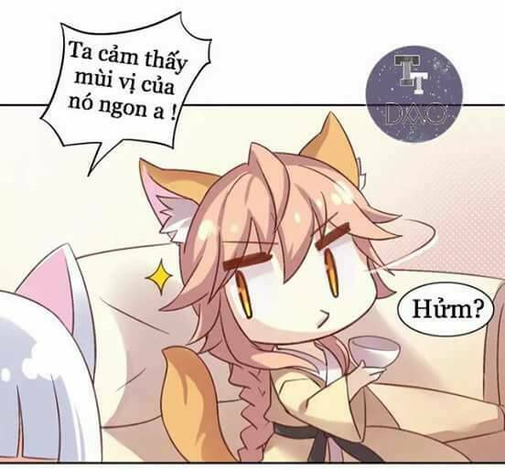 dưới móng vuốt mèo chapter 6 16