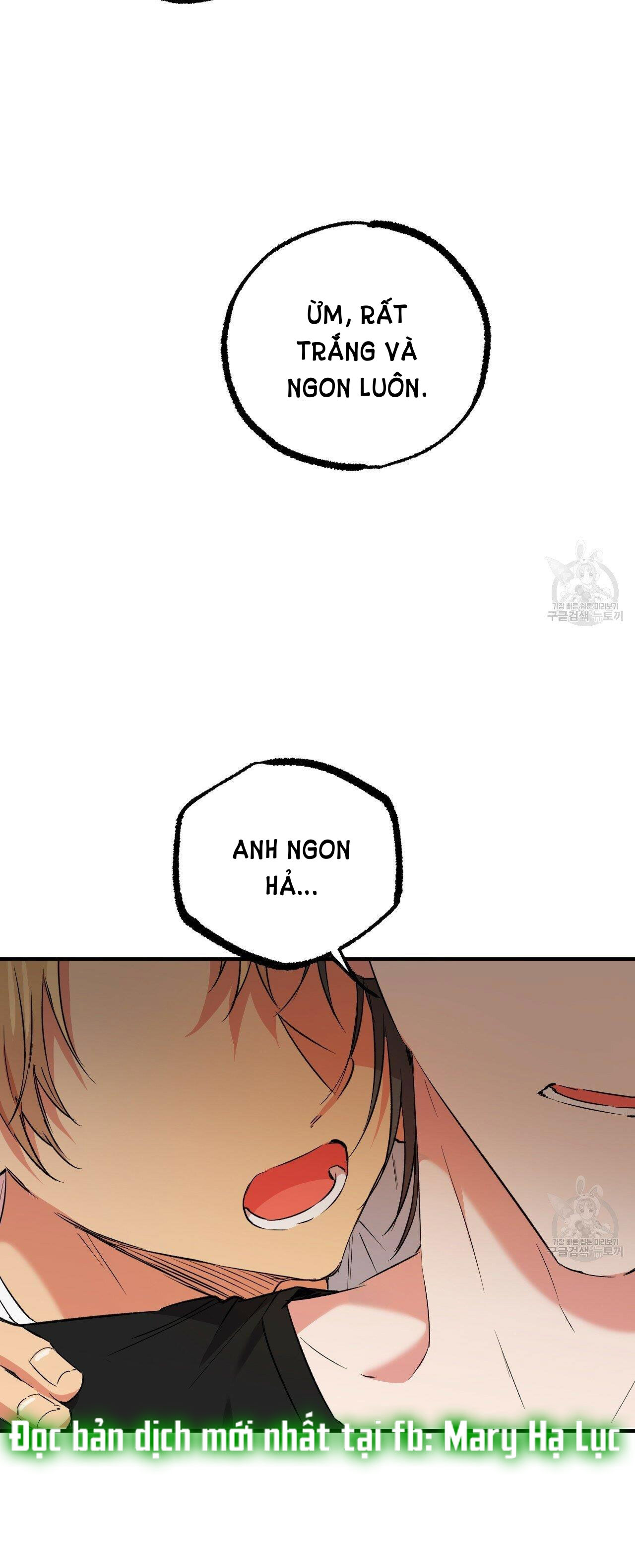 những chú thỏ của hapypy chapter 53.2 26