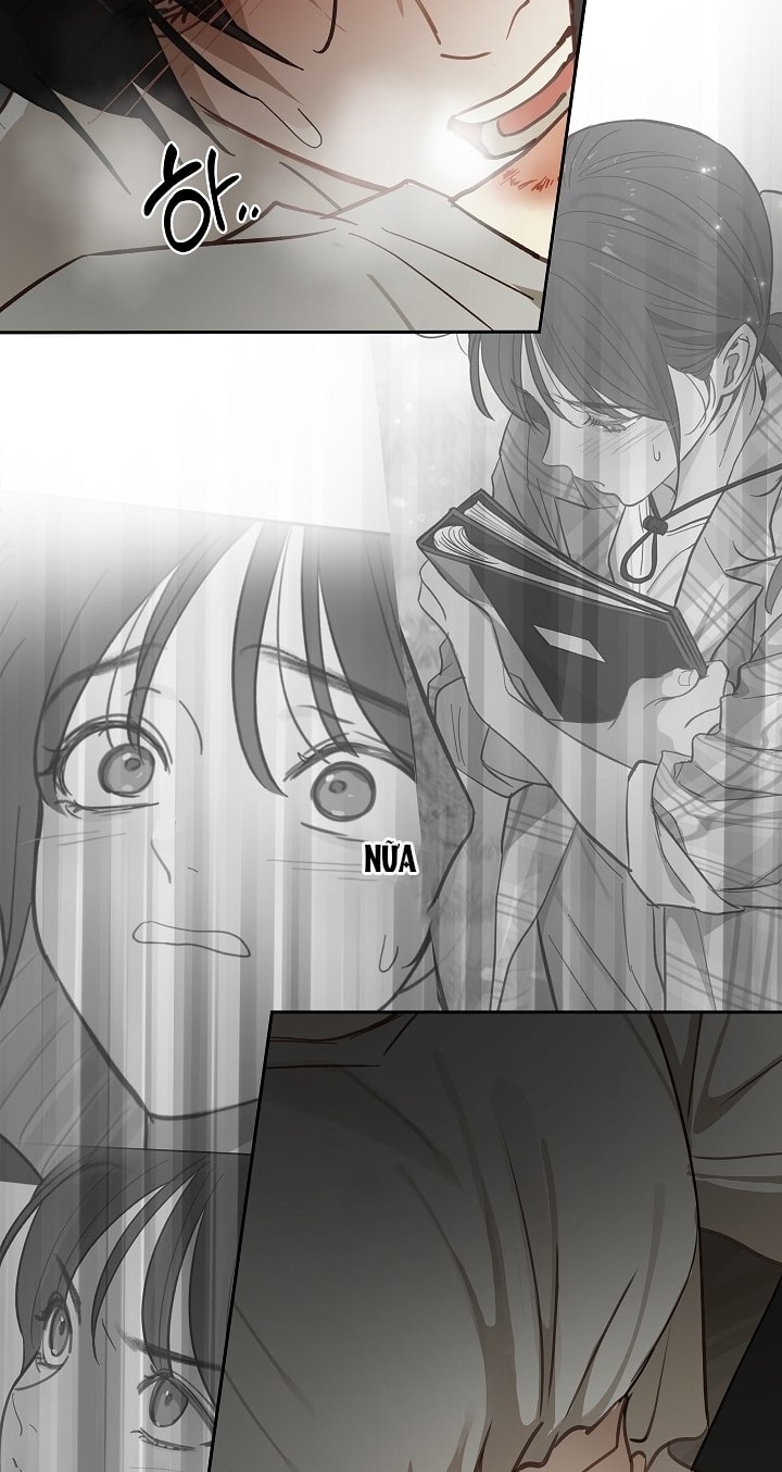 [18+] hoa là mồi nhử chapter 14.2 39