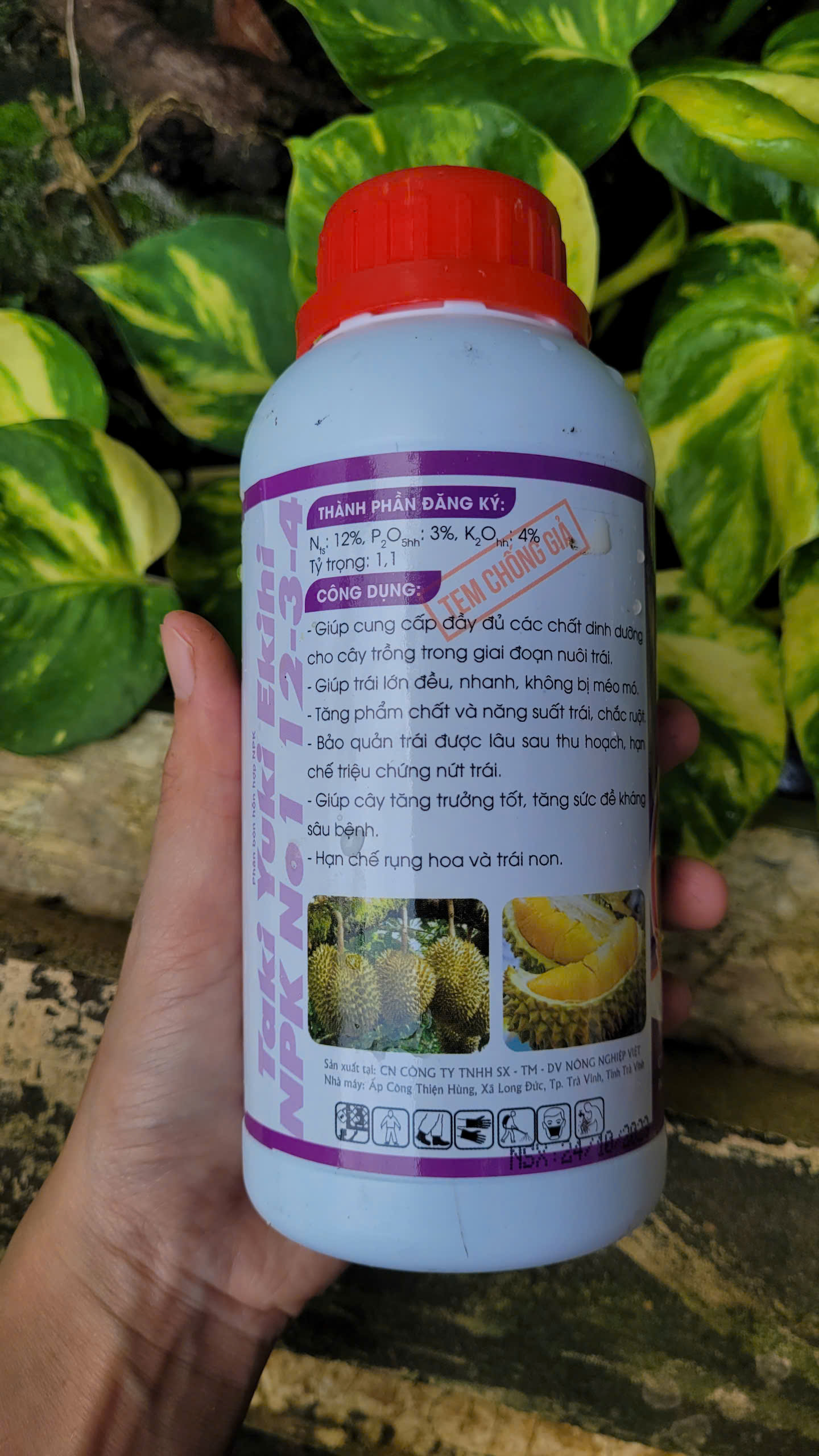 Phân bón Lớn Trái Mít 500ml giúp cây mít phì trái, đặc ruột, nở gai đều, hạn chế sơ đen
