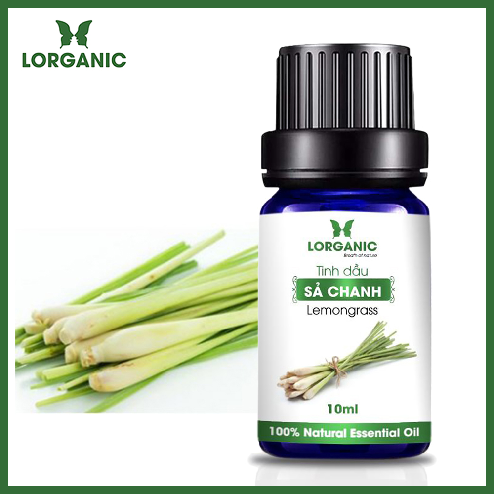 Combo máy khuếch tán/ máy xông tinh dầu Lorganic Lồng Đèn Cây FX2074 + tinh dầu sả chanh Lorganic 10ml/ Phun sương sóng siêu âm/ Thích hợp xông phòng 15-40m2.