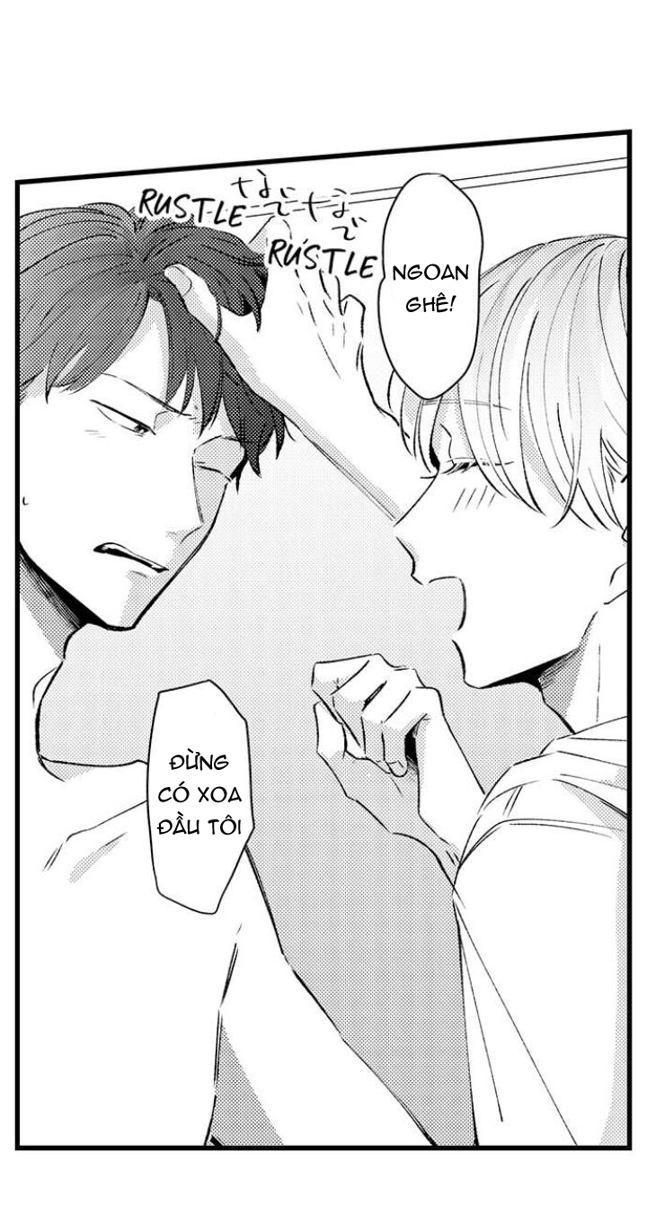 chàng trai xinh đẹp muốn bị hành hạ chapter 15.1 5
