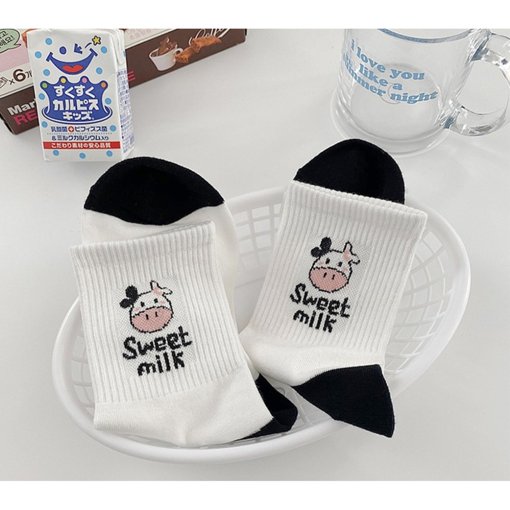 COMBO 05 TẤT BÒ SỮA SUPER NAM, NỮ