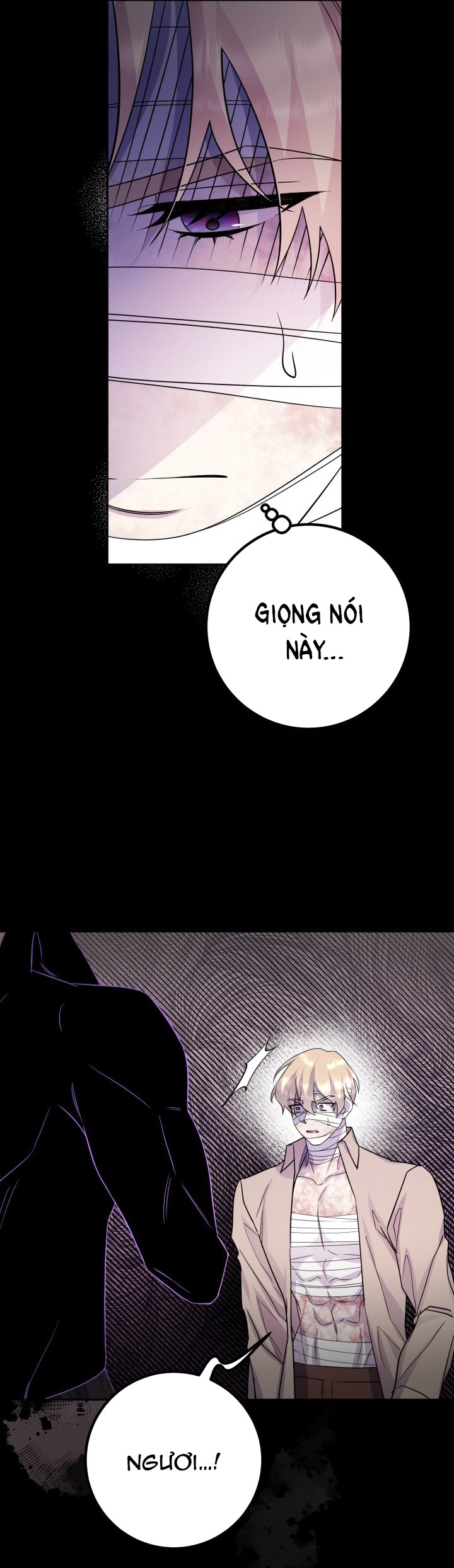 [18+] nếu cứu rỗi một cầm thú hư hỏng chapter 35.2 31