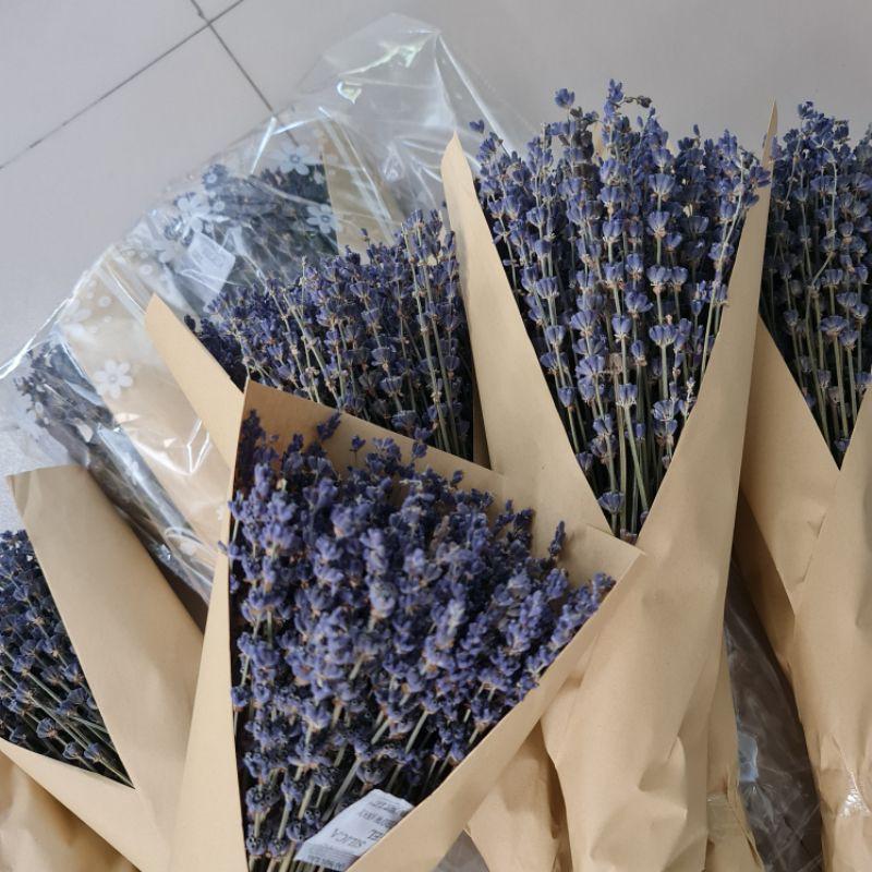 COMBO SỈ 1KG Lavender