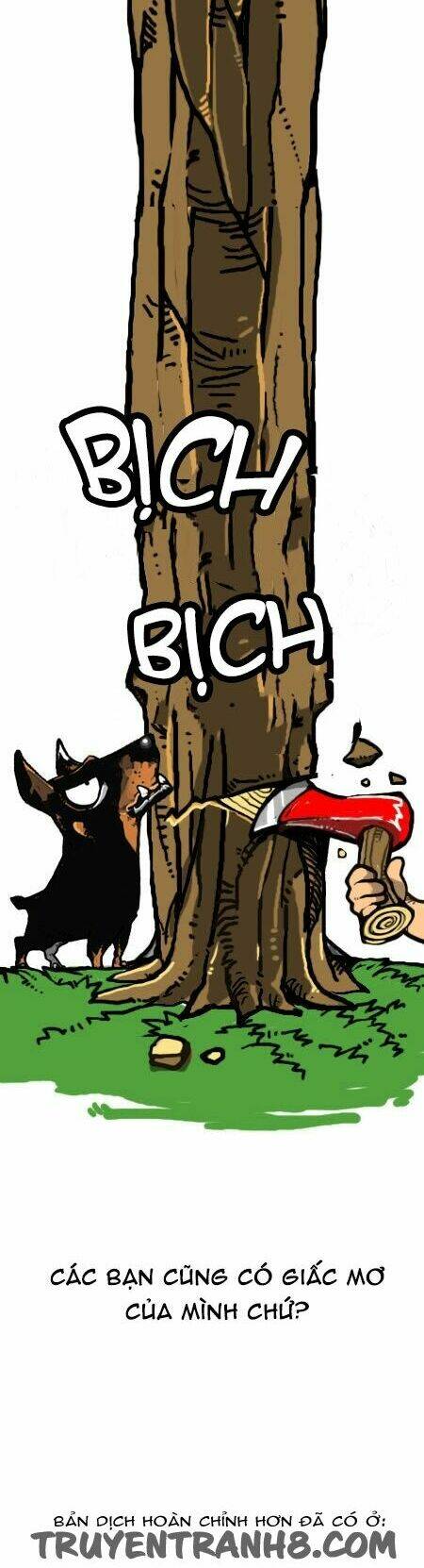 earth, human, and animal chapter 25 22