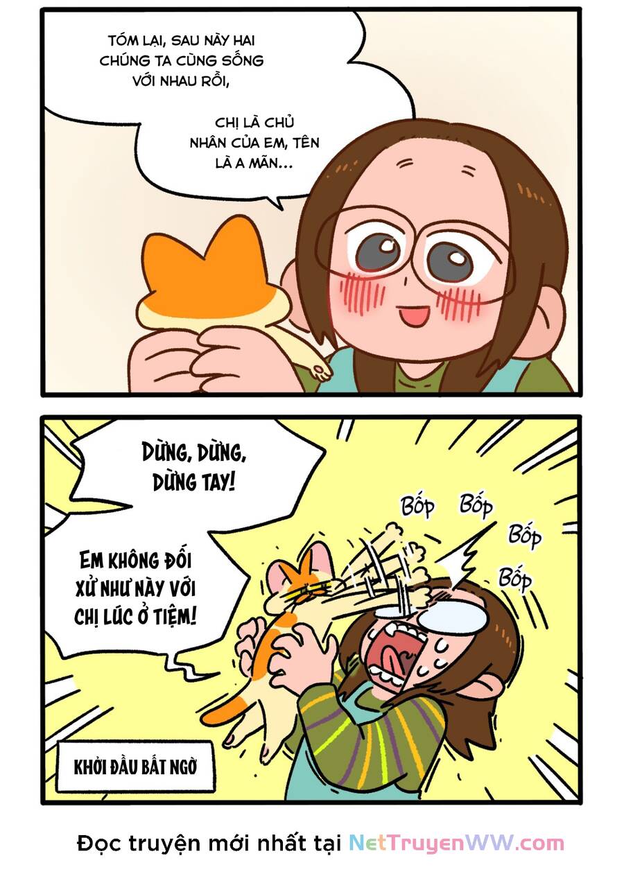 a mãn và mạch trà chapter 143 2