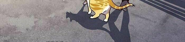 biến thân thành mèo chapter 36 103