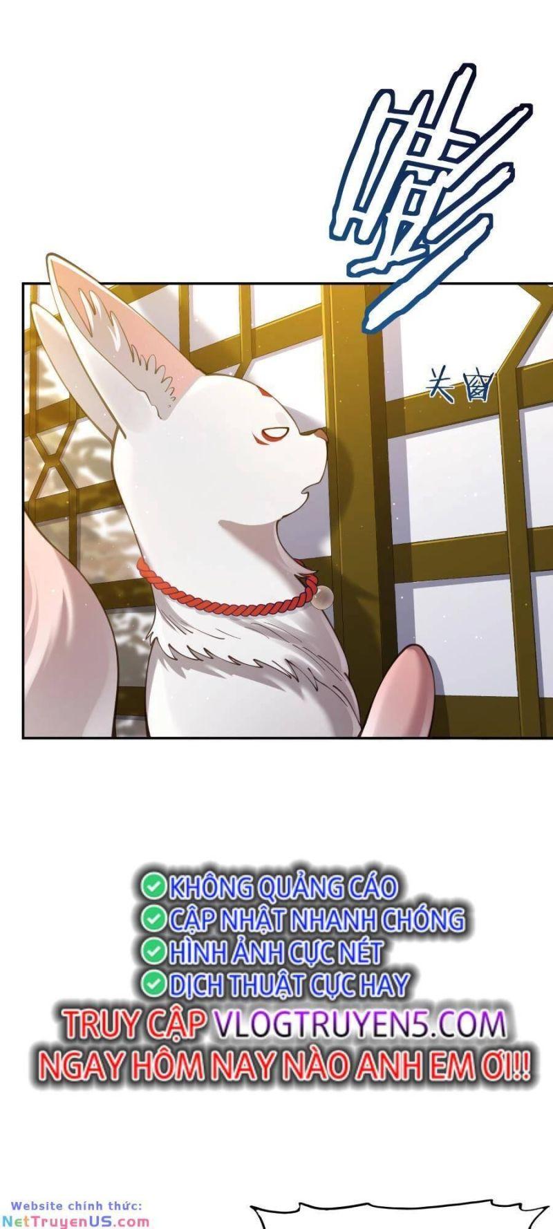 bói toán mà thôi, cửu vĩ yêu đế sao lại thành nương tử ta?! chapter 24 47