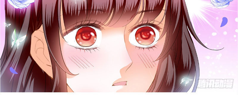 lóe thiểm hôn kiều thê mơ tưởng trốn chapter 254 11