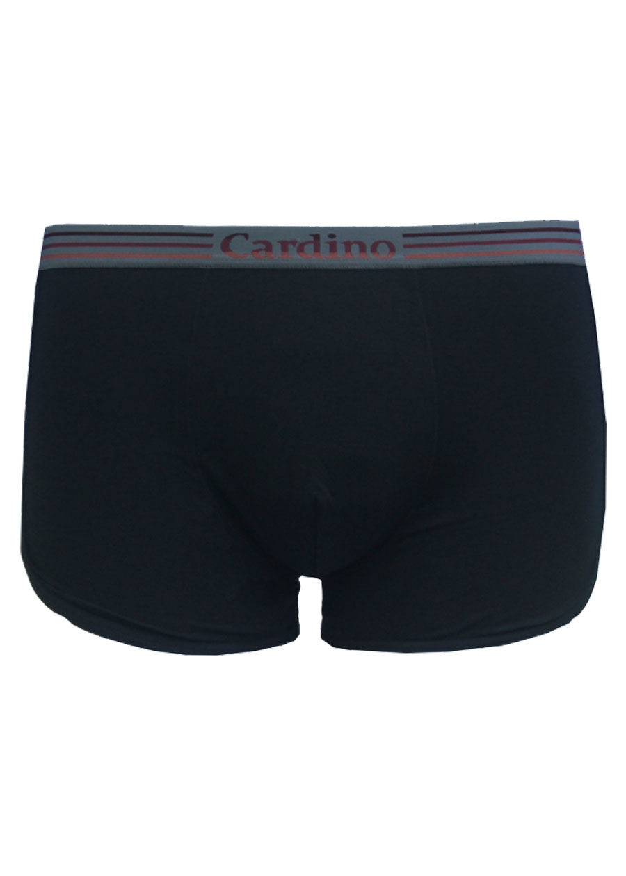 Quần lót Cotton nam Việt Nam CN24
