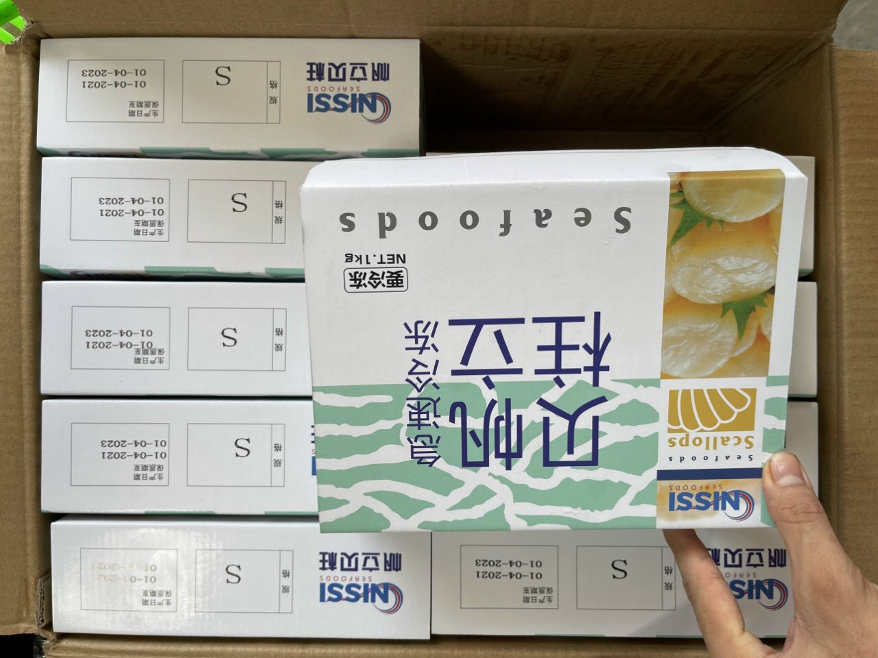 Cồi sò điệp nhật ép