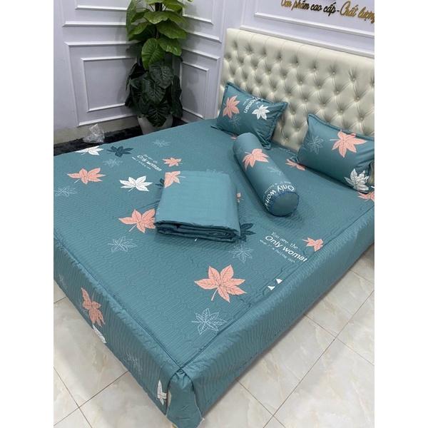 Bộ ga phủ trần bông cottong 5 món ảnh chụp thật