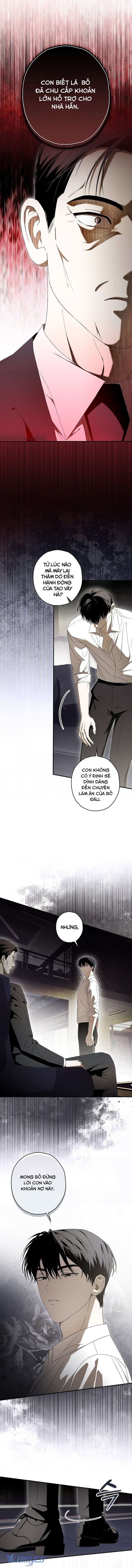 chuỗi thức ăn chapter 43 3