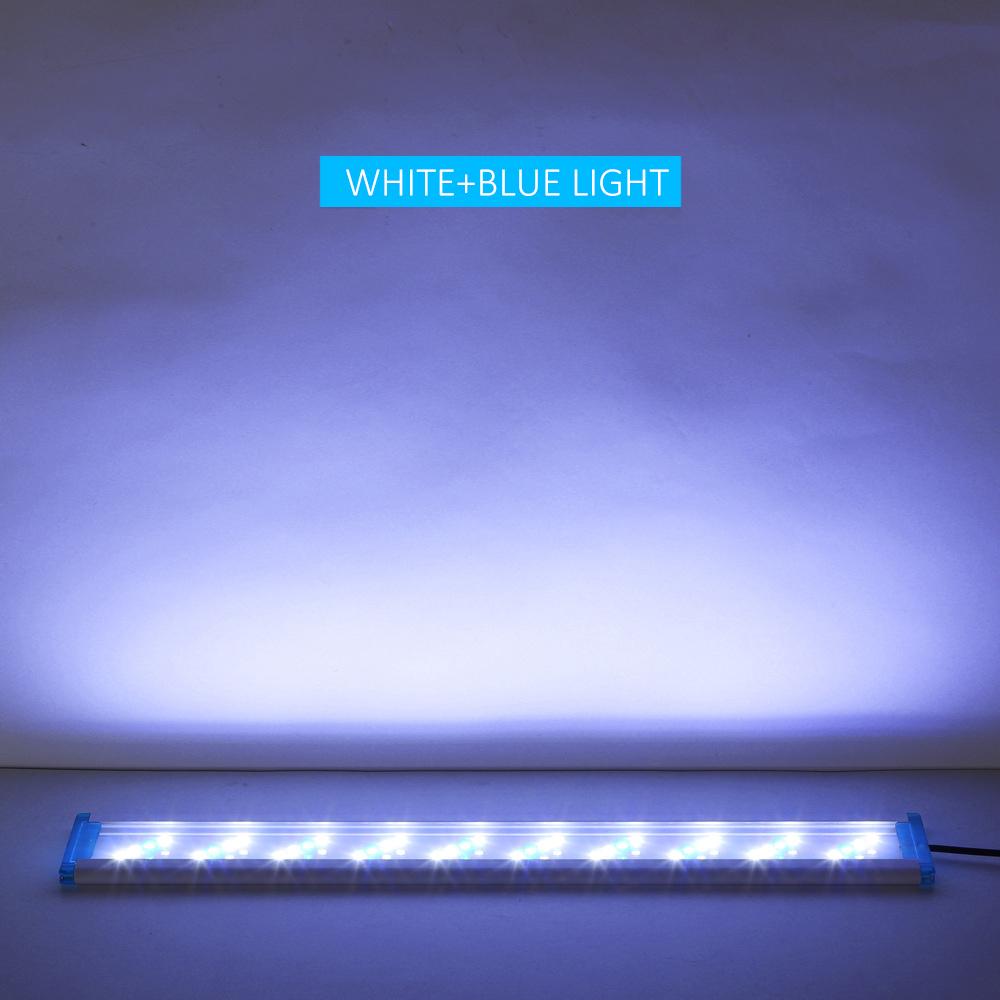 Thanh Đèn LED màu xanh trắng cho bể cá thủy sinh