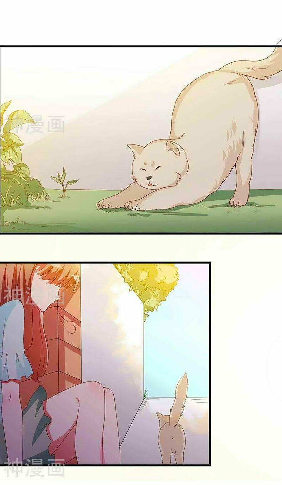 gối đầu vào tổng tài ác ma chapter 19 19