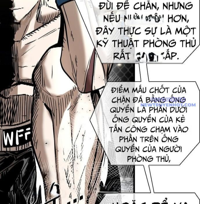 shark - cá mập chapter 334 89