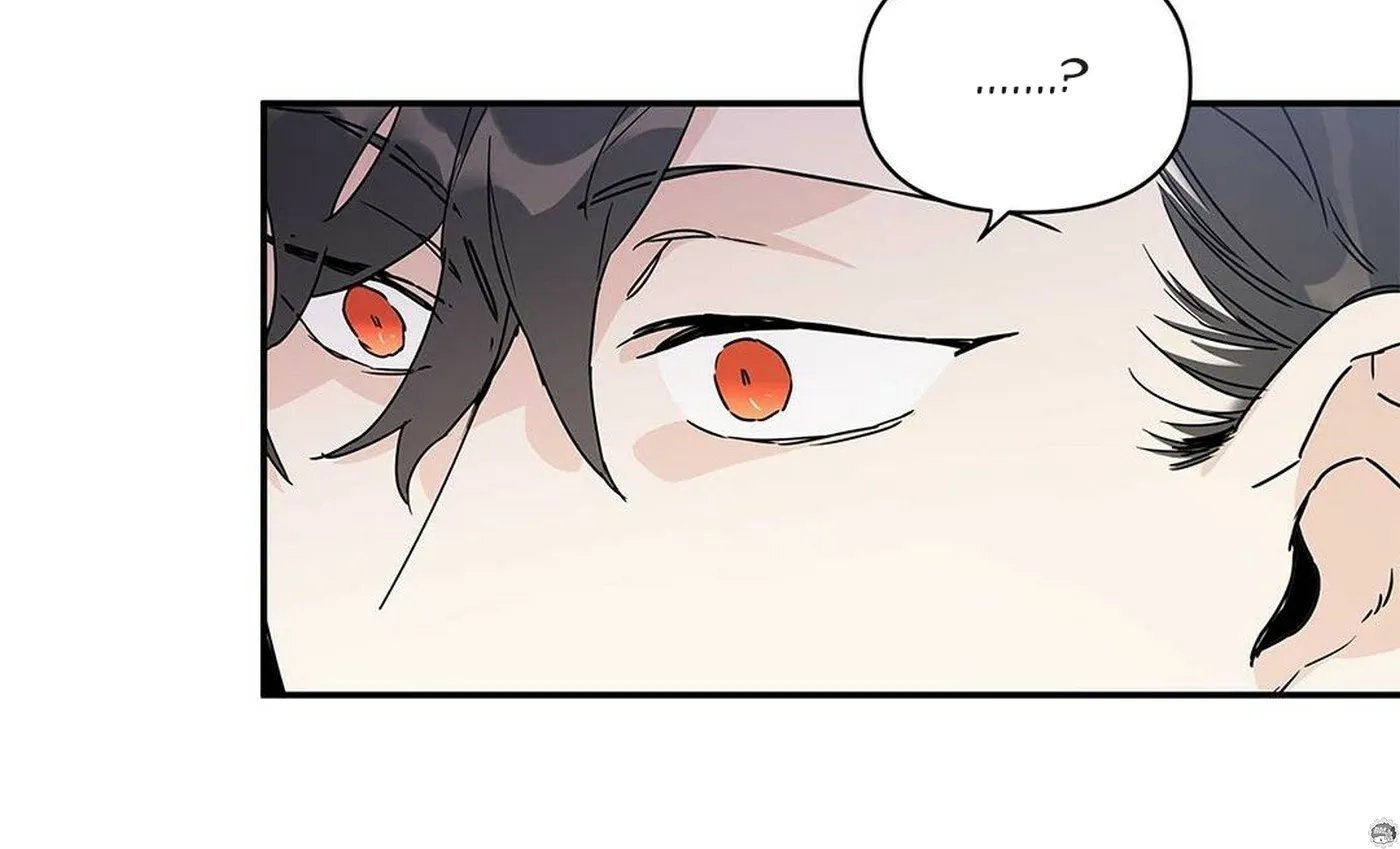 guide cấp b chapter 4 101