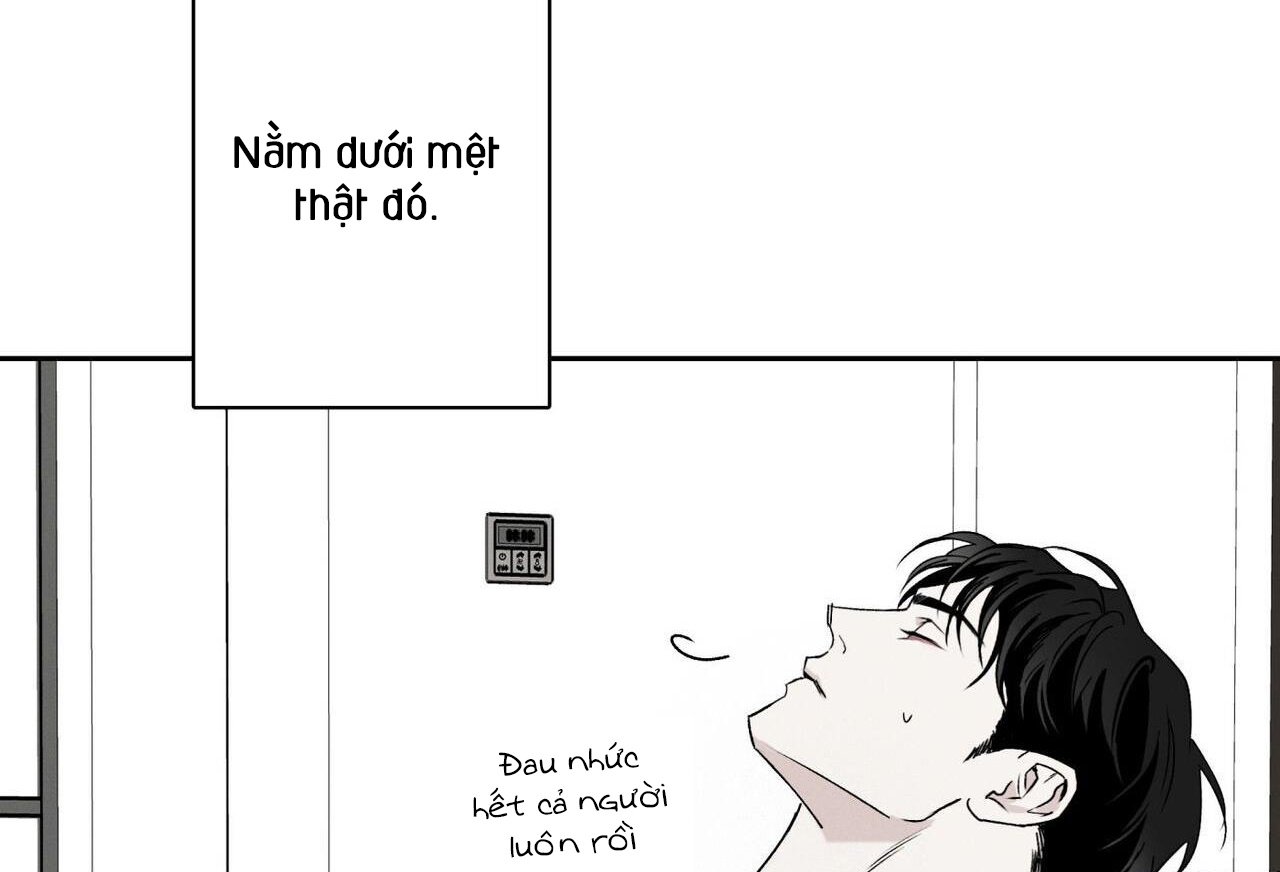 chàng giao pizza và gold palace chapter 48 80