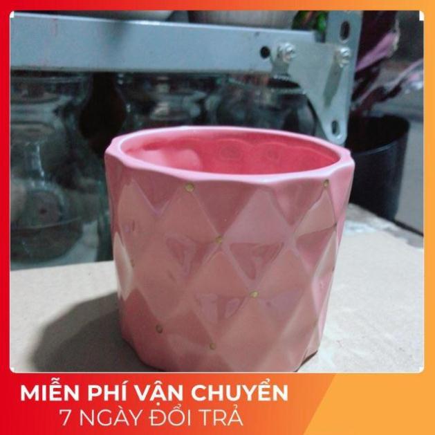 Chậu Trồng Cây