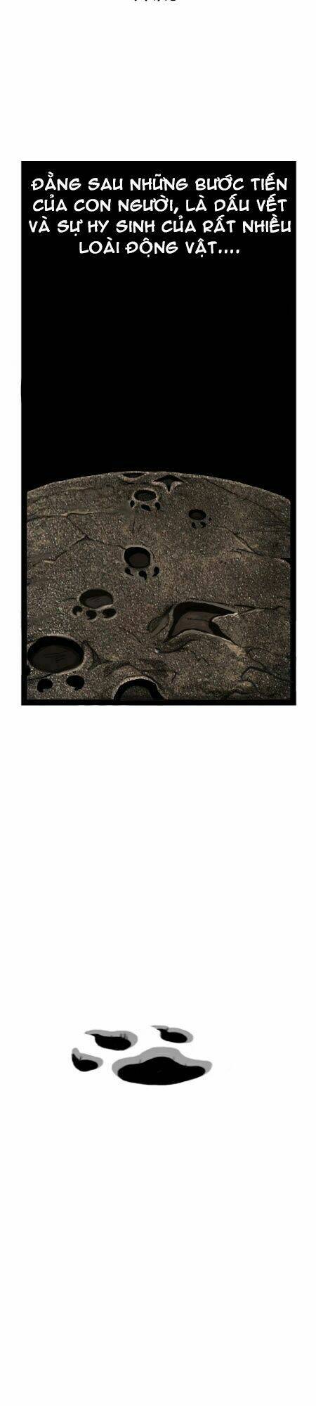 earth, human, and animal chapter 15 25