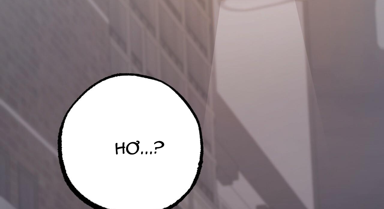 đàn thỏ của habibi chapter 47 276