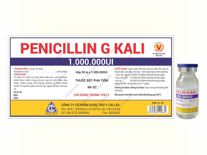 Thuốc bột pha tiêm PENICILLIN G KALI Trị viêm vú, viêm tử cung, bệnh dấu son  và nhiều bệnh nhiễm trùng khác gây ra ở trâu, bò