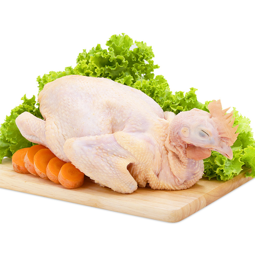 Gà Ta Bến Tre Thả Vườn Bao Ngon Nguyên Con Từ 1kg Đến 1,2kg trở lên dai và ngọt từng xớ thịt của loại gà nuôi gia đình miền thôn quê