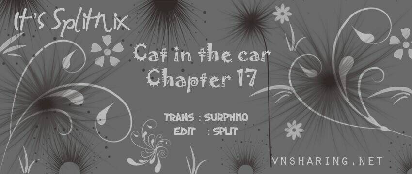 cat in the car chapter 17 1