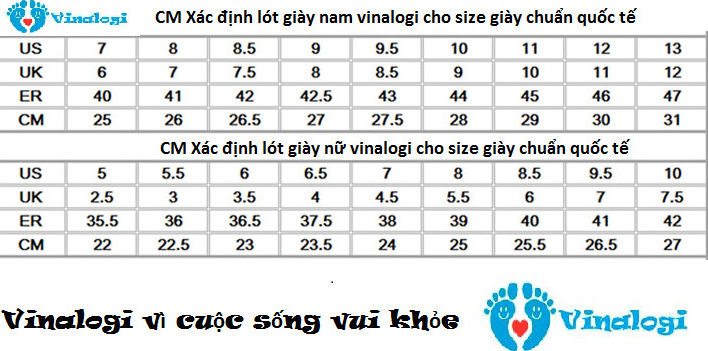 Combo 2 đôi lót giày thể thao vinalogi