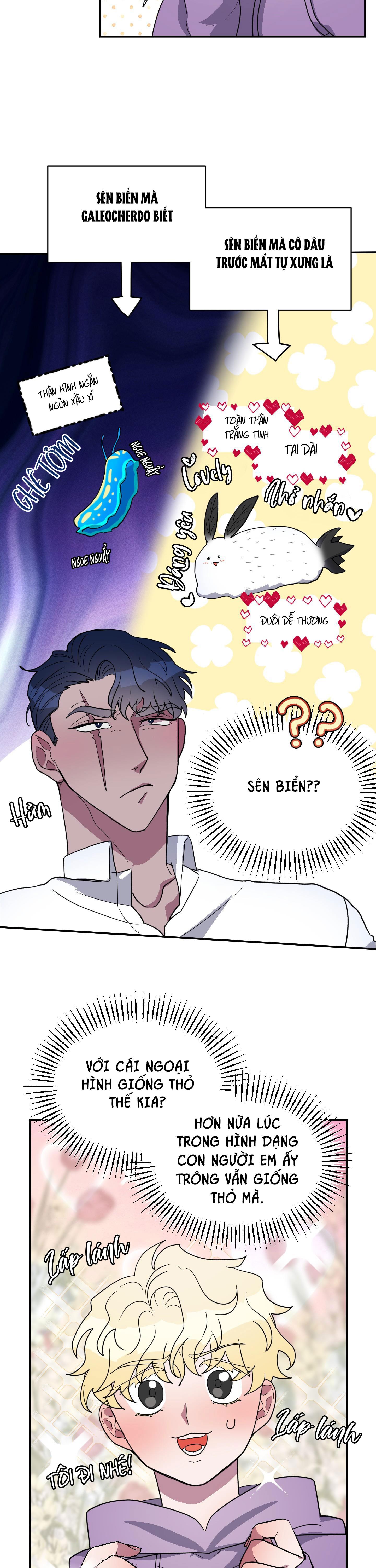 cá mập và cô dâu thỏ chapter 2 3