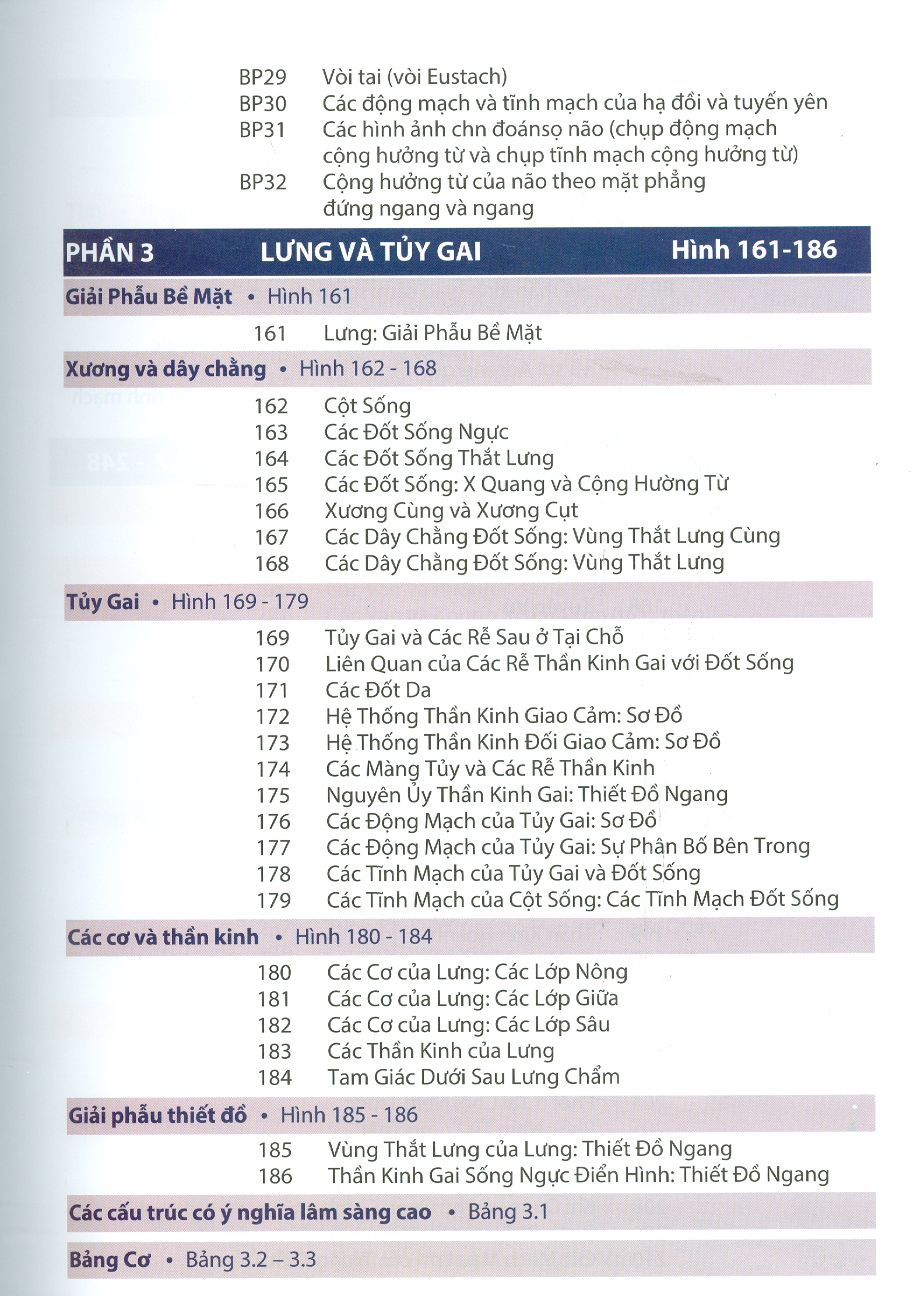 ATLAS GIẢI PHẪU NGƯỜI - In Lần Thứ IV (năm 2022) Theo Ấn Phẩm Lần Thứ VII Của Nxb Elsevier Có Sửa Chữa Và Bổ Sung (ATLAS OF HUMAN ANATOMY  Seventh Edition)