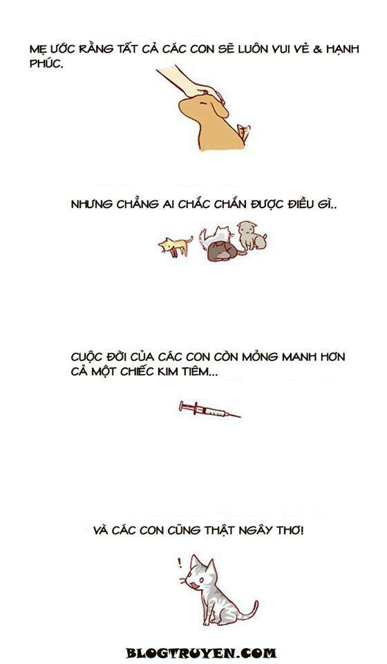 my kitty and old dog chapter 10 4