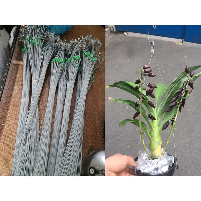 20 Móc Treo Chậu Bằng Kẽm 80CM