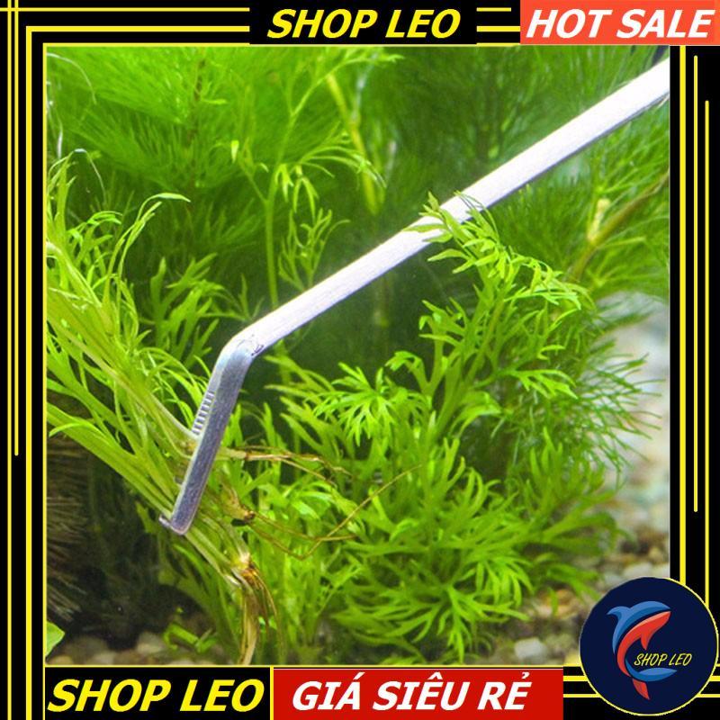 Bộ dụng cụ thủy sinh 5 món cao cấp - Bộ chăm sóc cây thủy sinh inox 304 - cắt tỉa cây- set bể cá