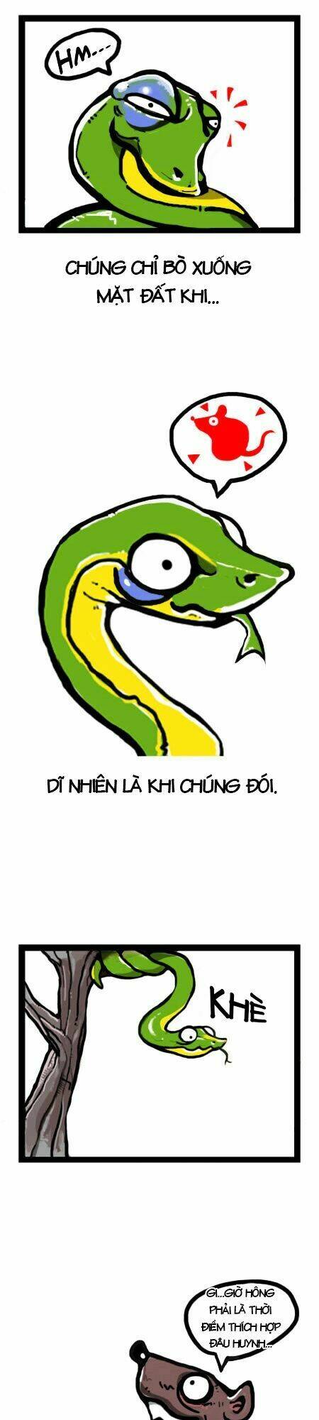 earth, human, and animal chapter 4 5