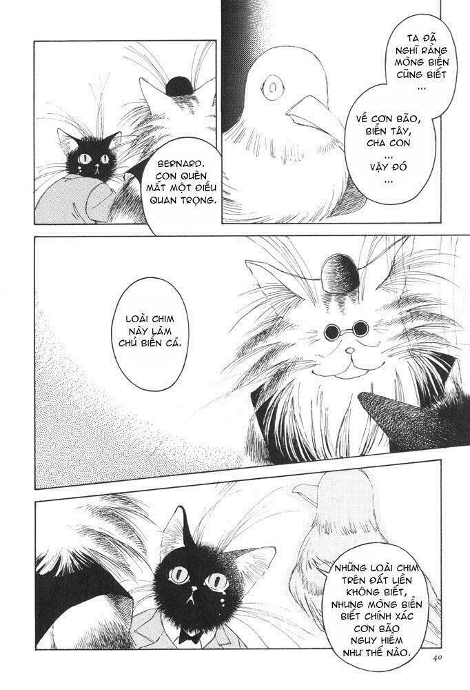 bernie's drawing diary chapter 1 36