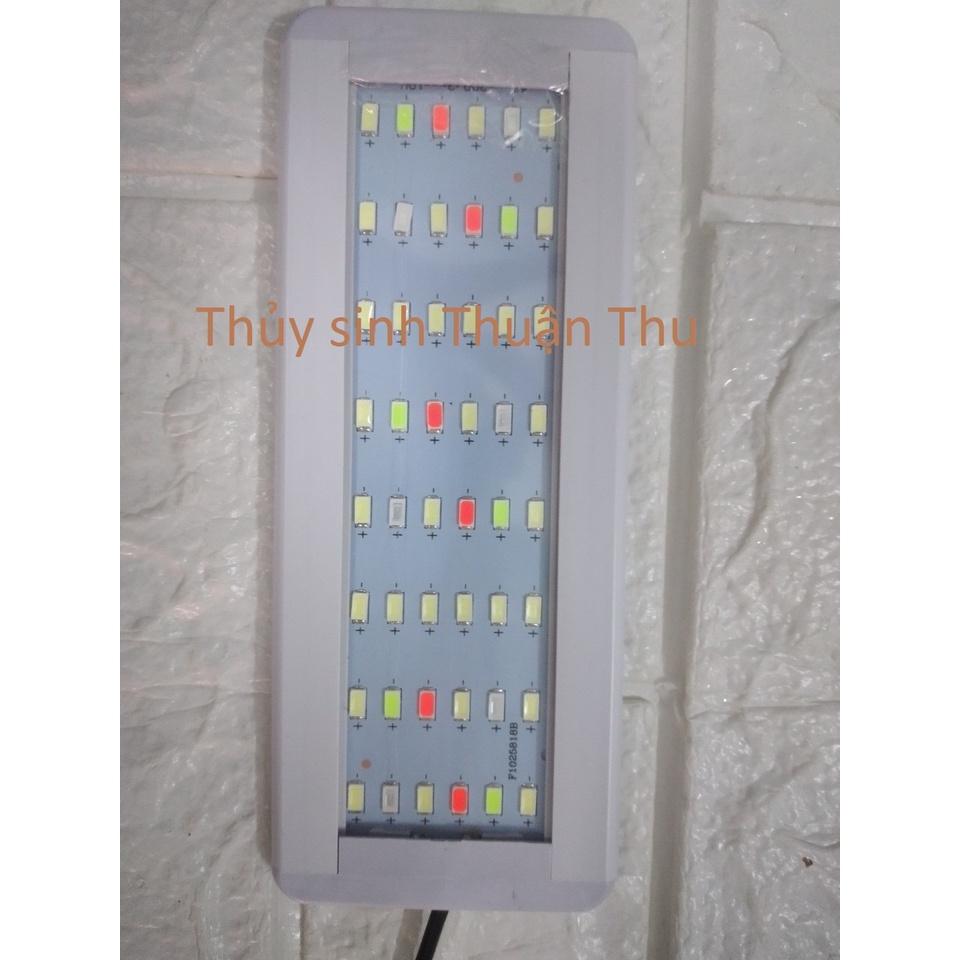 Đèn led WRGB 6 hàng siêu sáng thế hệ mới - đèn led thuỷ sinh các size