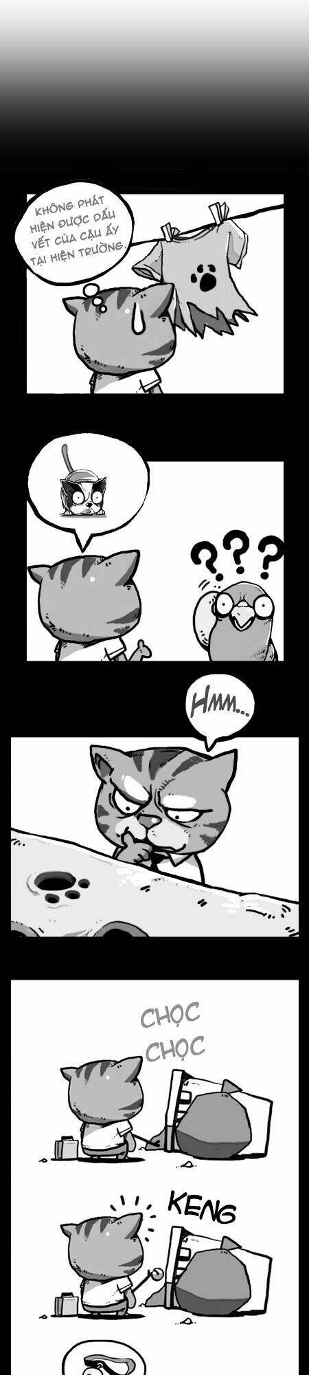 earth, human, and animal chapter 22 24